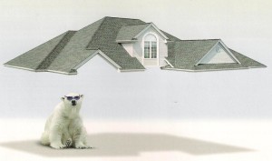 cool-roof-bear-300x177