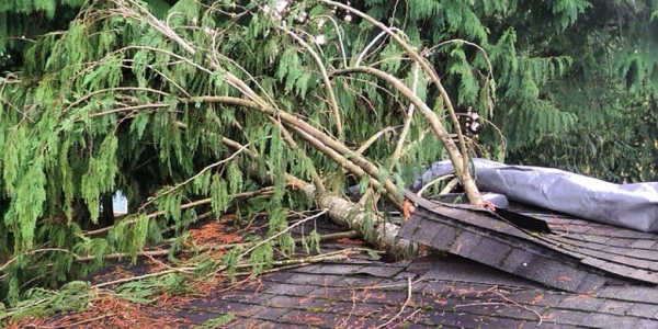 when-disaster-strikes