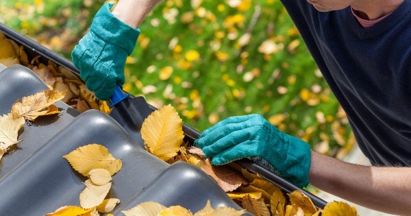 cleaning gutters
