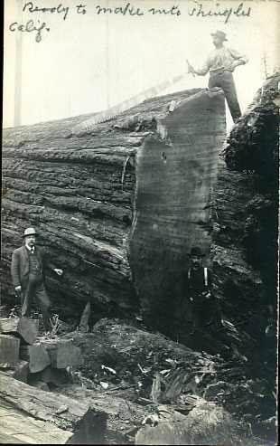 cutting logs for shingles