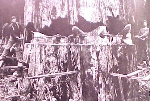 Roofing History