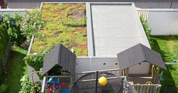 RCS Green Roof