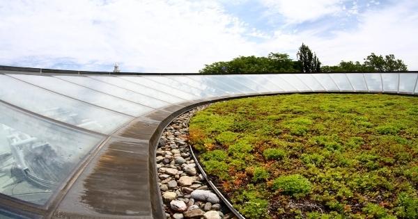 RCS Green Roofs on Schools