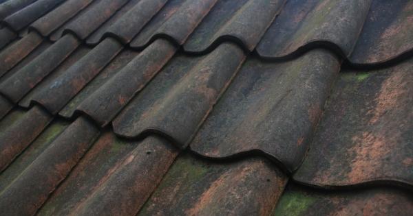Beacon Cleaning Your Shingles