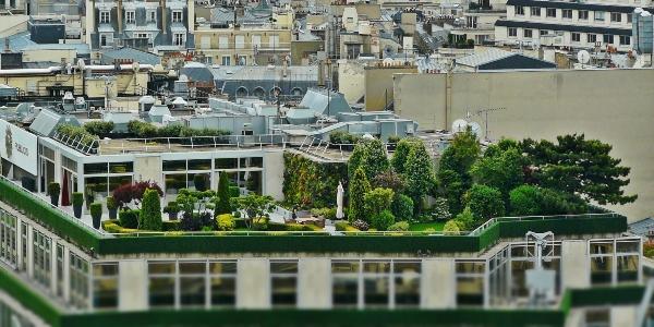 RCS Why Green Roofs are Better