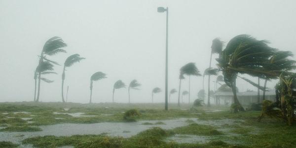 Roof materials windstorms