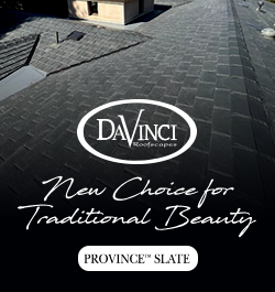 DaVinci - Sidebar Ad - New Choice For Traditional Beauty