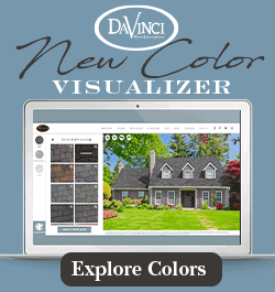 DaVinci - Sidebar Ad - New Color Visualizer