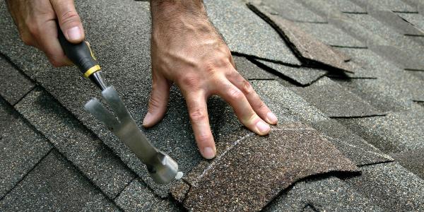 Elite Roofing Maintenance