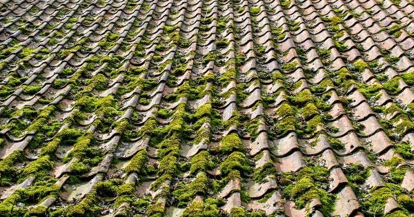 mossy roof