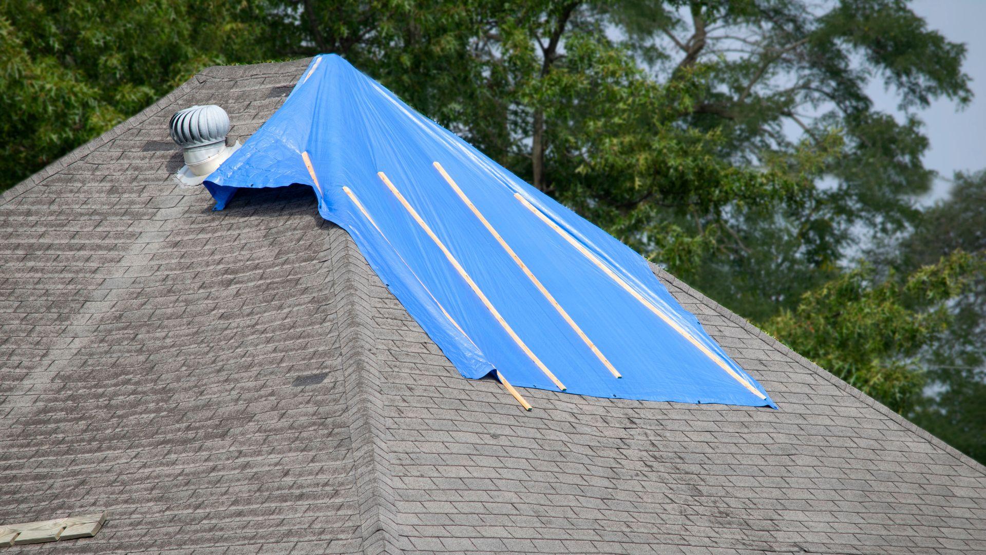 Janney Repairing a Slightly Worn Roof