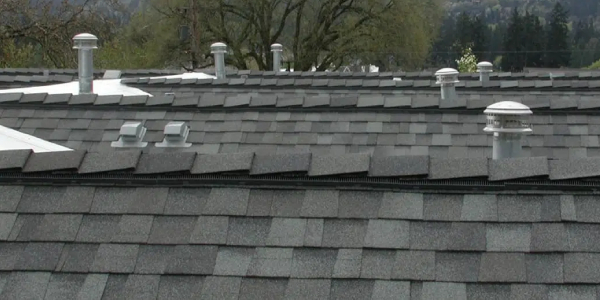 Pacific West Ins and Outs of Roof Vents