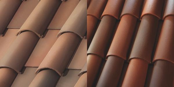 Westlake Earth Day Blog