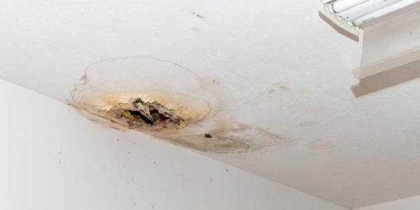 Fields Service 5 Roofing Issues for Homeowners