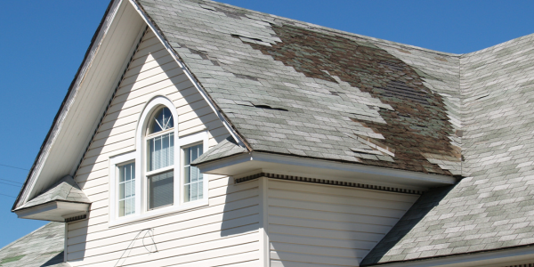 AAR - Do you need a new roof? - Damaged shingle photo