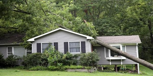 Smart ways to save on roof replacements