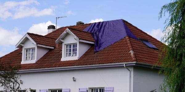 Gutter maintenance: The overlooked key to a long-lasting roof