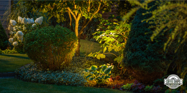 How mini lights make a major impact outdoors