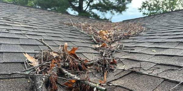Protect your roof, protect your investment