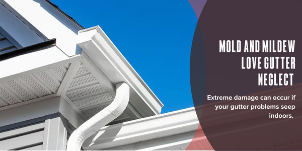 Mold and mildew love gutter neglect