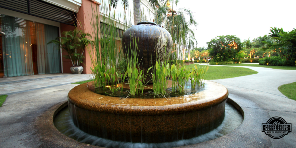 Container water gardens: Big design in small spaces