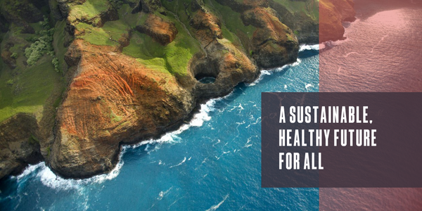 A sustainable, healthy future for all