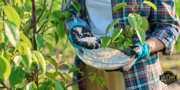 Your guide to choosing and applying the right fertilizer