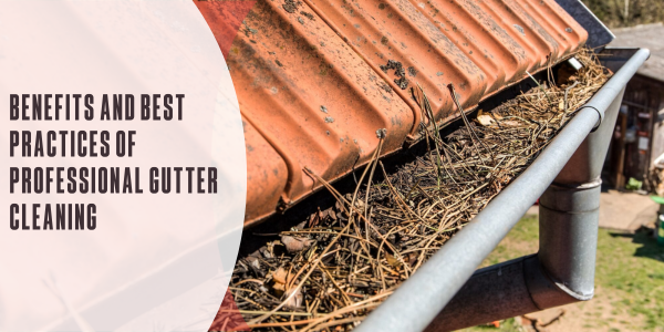 Benefits and best practices of professional gutter cleaning