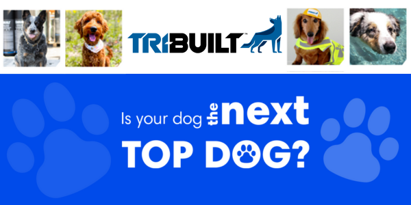 QXO - TRI-BUILT® begins nationwide search for 2025 “Top Dogs” QXO - TRI-BUILT® begins nationwide search for 2025 “Top Dogs”