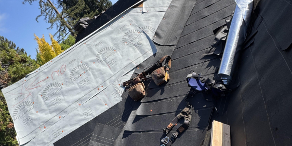 Q&A – DaVinci shake on a dorm