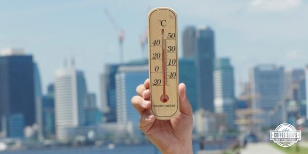 How temperature awareness can help protect your roof