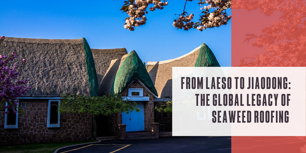 From Læsø to Jiāodōng : The global legacy of seaweed roofing